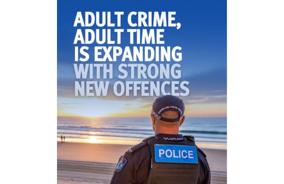 Adult Crime, Adult Time